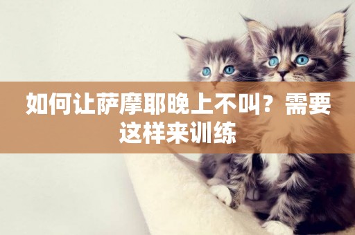如何讓薩摩耶晚上不叫？需要這樣來訓練