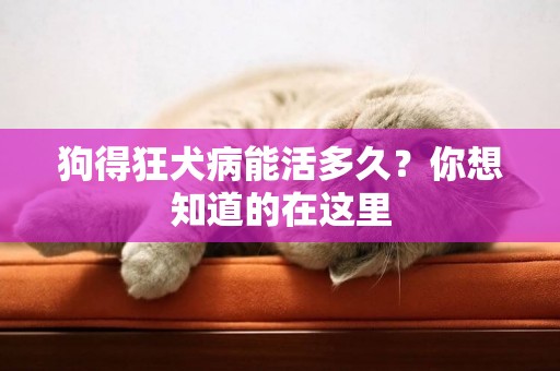 狗得狂犬病能活多久？你想知道的在這里