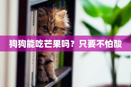 狗狗能吃芒果嗎？只要不怕酸