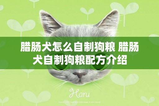 臘腸犬怎么自制狗糧 臘腸犬自制狗糧配方介紹
