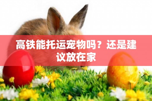 高鐵能托運寵物嗎？還是建議放在家