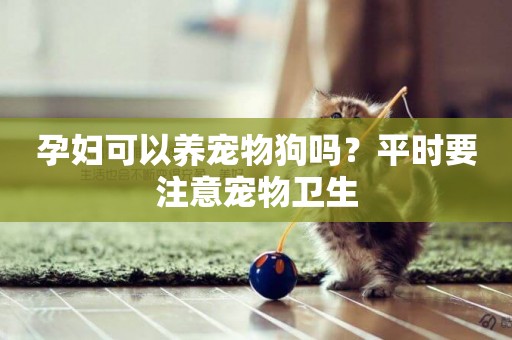 孕婦可以養寵物狗嗎？平時要注意寵物衛生