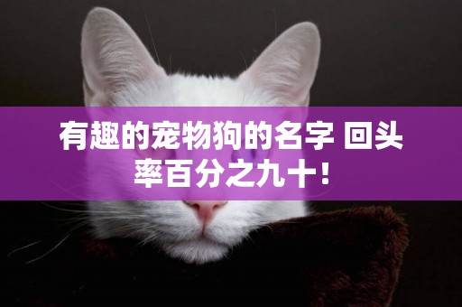 有趣的寵物狗的名字 回頭率百分之九十！