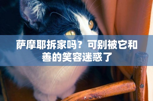 薩摩耶拆家嗎？可別被它和善的笑容迷惑了