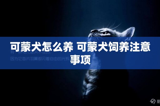 可蒙犬怎么養 可蒙犬飼養注意事項