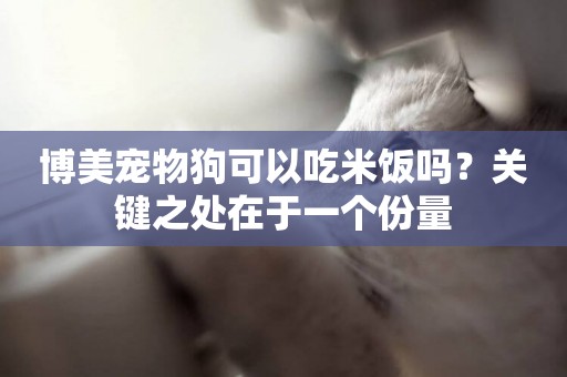 博美寵物狗可以吃米飯嗎？關鍵之處在于一個份量