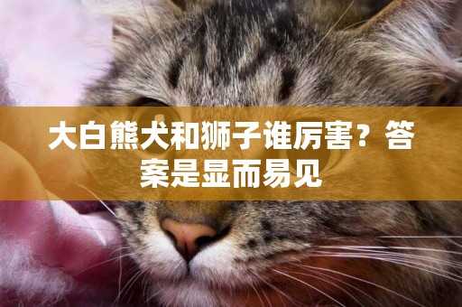 大白熊犬和獅子誰厲害？答案是顯而易見