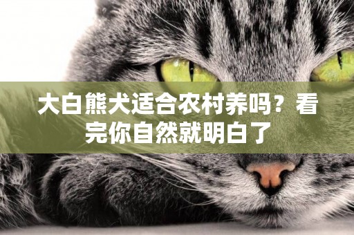 大白熊犬適合農村養嗎？看完你自然就明白了