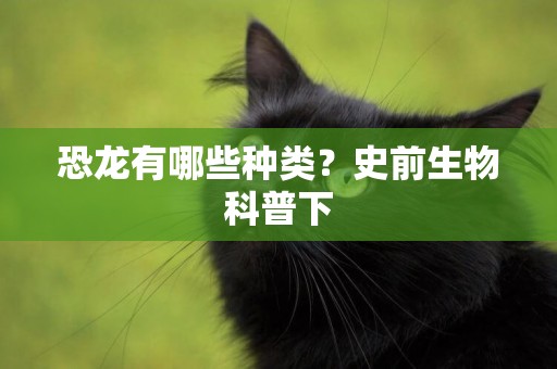 恐龍有哪些種類？史前生物科普下
