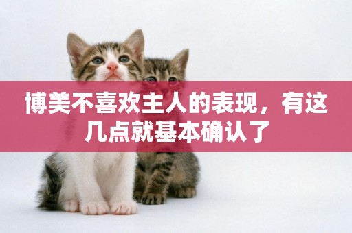 博美不喜歡主人的表現，有這幾點就基本確認了