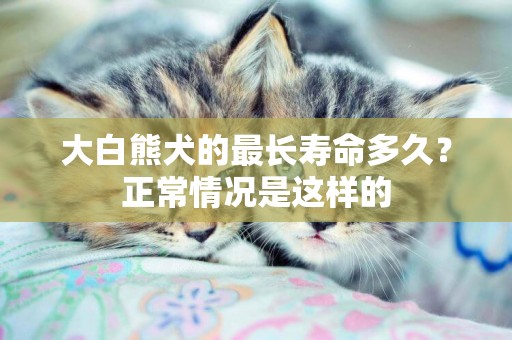 大白熊犬的最長壽命多久？正常情況是這樣的