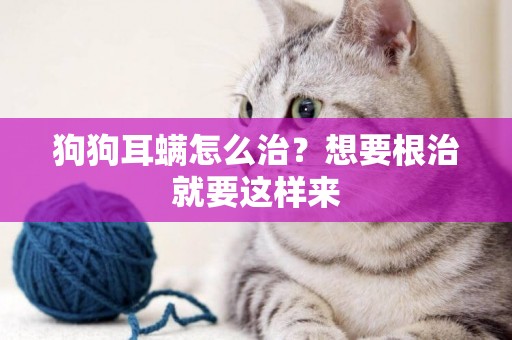 狗狗耳螨怎么治？想要根治就要這樣來