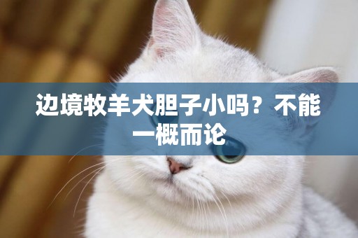 邊境牧羊犬膽子小嗎？不能一概而論