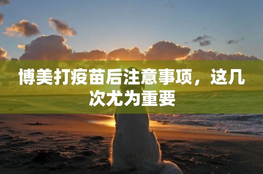 博美打疫苗后注意事項，這幾次尤為重要