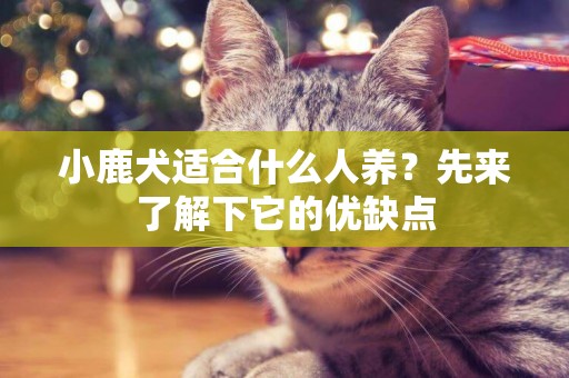 小鹿犬適合什么人養？先來了解下它的優缺點