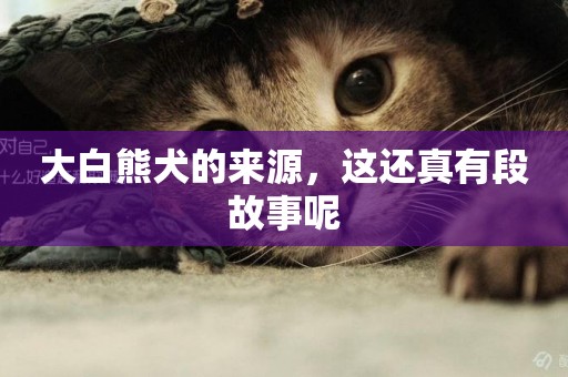 大白熊犬的來源，這還真有段故事呢