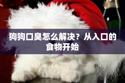狗狗口臭怎么解決？從入口的食物開始
