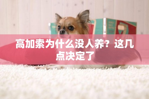 高加索為什么沒人養？這幾點決定了