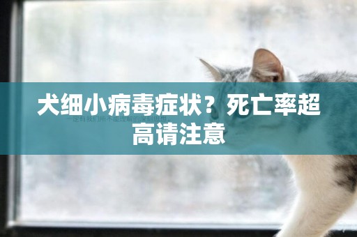 犬細小病毒癥狀？死亡率超高請注意