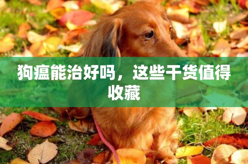 狗瘟能治好嗎，這些干貨值得收藏