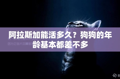 阿拉斯加能活多久？狗狗的年齡基本都差不多