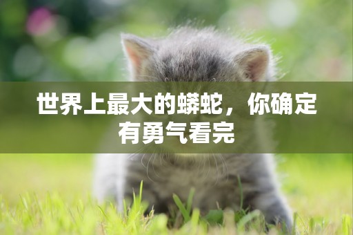 世界上最大的蟒蛇，你確定有勇氣看完