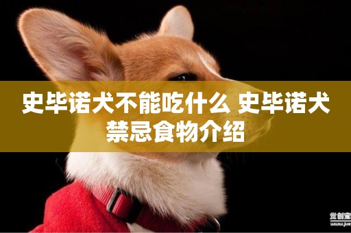 史畢諾犬不能吃什么 史畢諾犬禁忌食物介紹