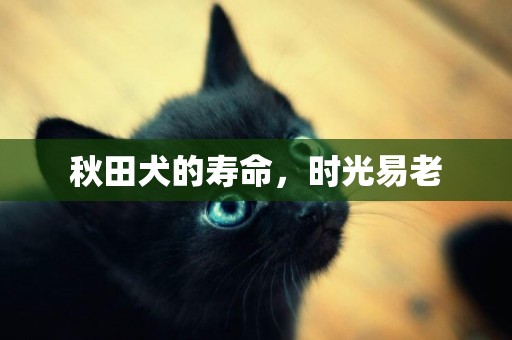秋田犬的壽命，時光易老