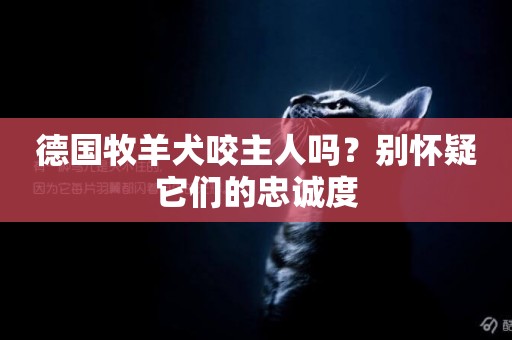 德國牧羊犬咬主人嗎？別懷疑它們的忠誠度