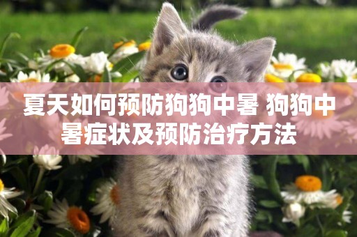 夏天如何預防狗狗中暑 狗狗中暑癥狀及預防治療方法