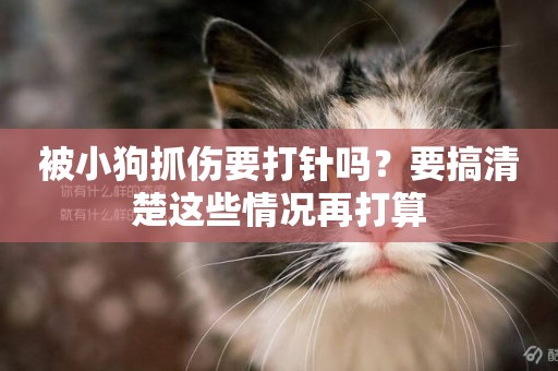 被小狗抓傷要打針嗎？要搞清楚這些情況再打算