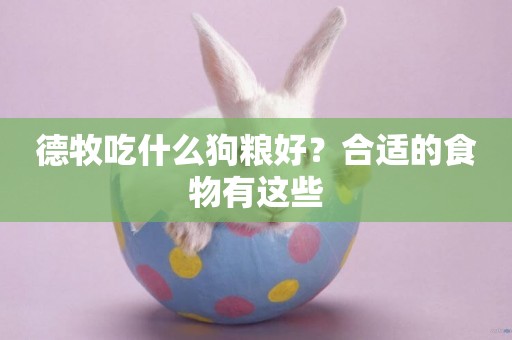 德牧吃什么狗糧好？合適的食物有這些