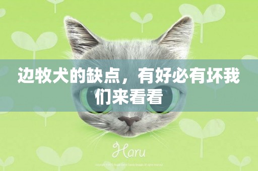 邊牧犬的缺點，有好必有壞我們來看看