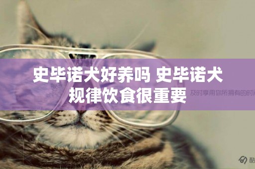史畢諾犬好養嗎 史畢諾犬規律飲食很重要