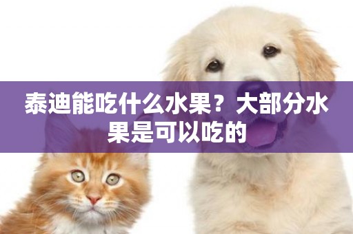 泰迪能吃什么水果？大部分水果是可以吃的