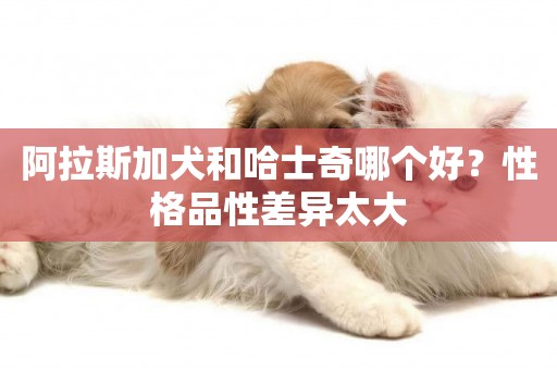 阿拉斯加犬和哈士奇哪個好？性格品性差異太大