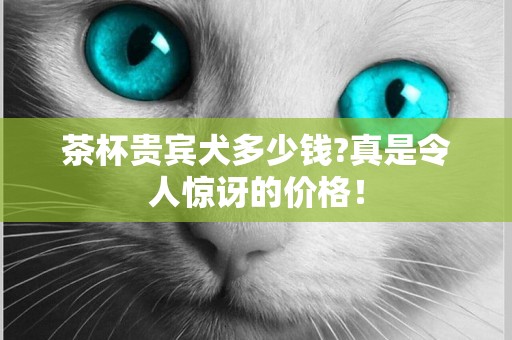 茶杯貴賓犬多少錢?真是令人驚訝的價格！