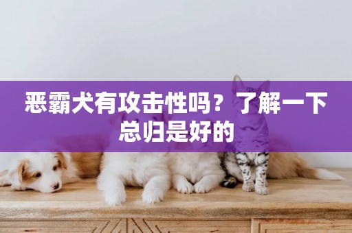 惡霸犬有攻擊性嗎？了解一下總歸是好的