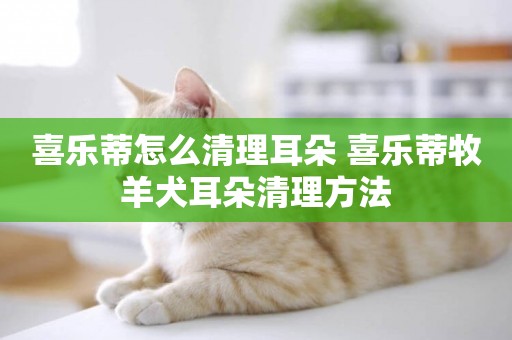 喜樂蒂怎么清理耳朵 喜樂蒂牧羊犬耳朵清理方法