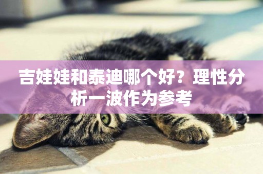 吉娃娃和泰迪哪個好？理性分析一波作為參考