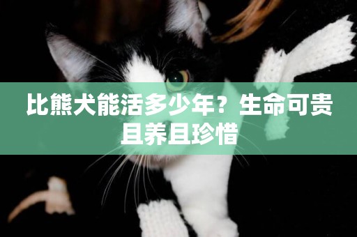 比熊犬能活多少年？生命可貴且養且珍惜