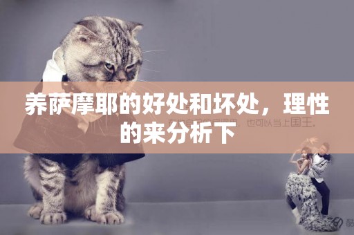 養薩摩耶的好處和壞處，理性的來分析下