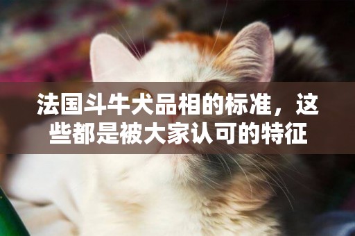 法國斗牛犬品相的標準，這些都是被大家認可的特征