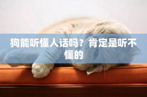 狗能聽懂人話嗎？肯定是聽不懂的