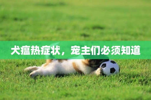 犬瘟熱癥狀，寵主們必須知道