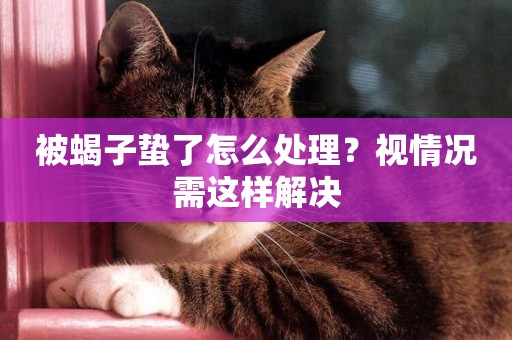 被蝎子蟄了怎么處理？視情況需這樣解決