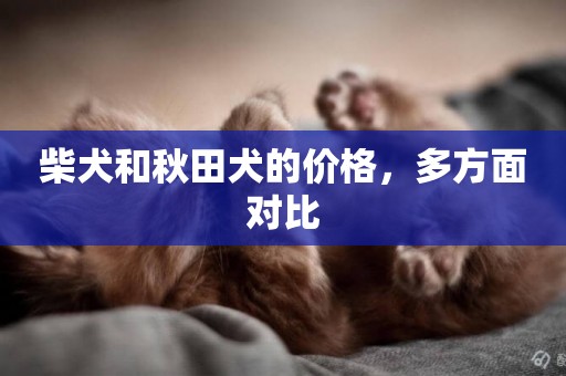 柴犬和秋田犬的價格，多方面對比