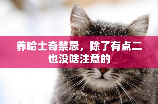養哈士奇禁忌，除了有點二也沒啥注意的