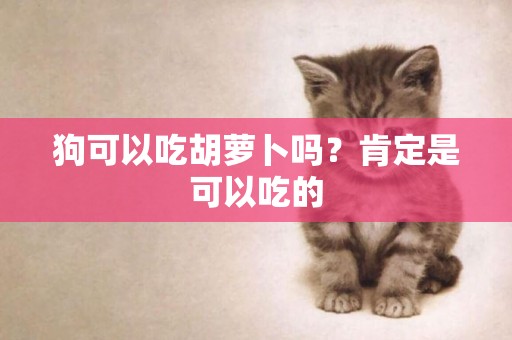 狗可以吃胡蘿卜嗎？肯定是可以吃的