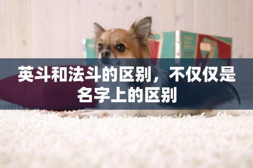英斗和法斗的區別，不僅僅是名字上的區別